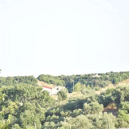 La Casa Dell'artista Apartment