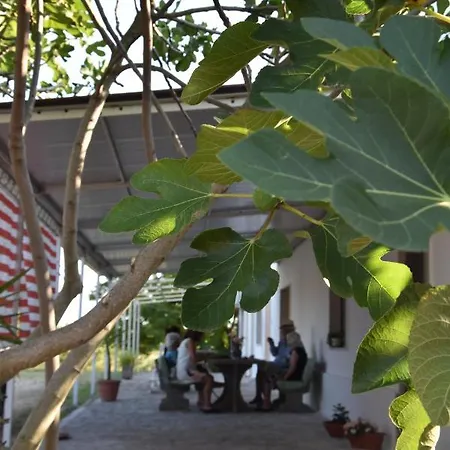Apartment La Casa Dell'artista Marconia